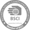 bsci-logo-9A2B890575-seeklogo.com